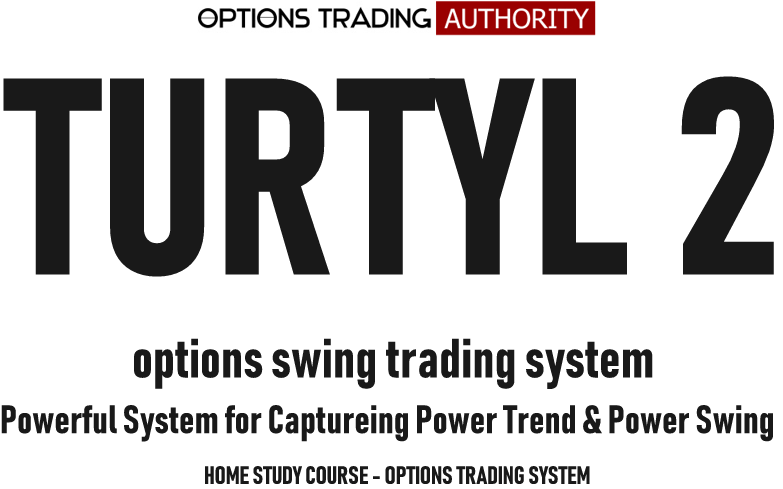 TURTYL 2 Options Trading System